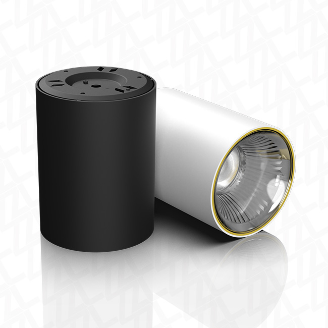 Surface Mounted Downlight